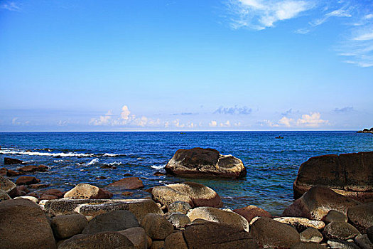 cau rong bạch kim