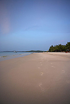 soi cau mien bac bach thu