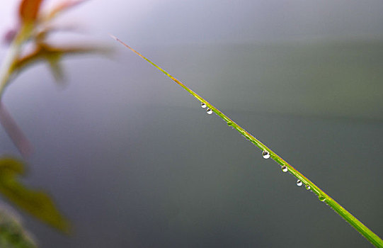 xổ số miền nam ngày thứ năm
