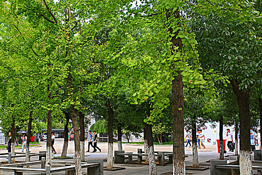 soicâu888