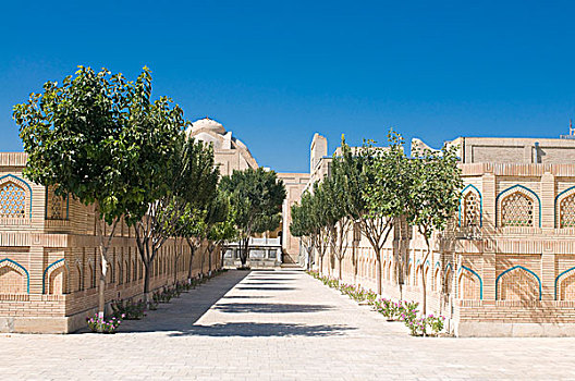 cau bach thu 888