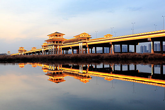 bach thu lo kep khung 5 ngay