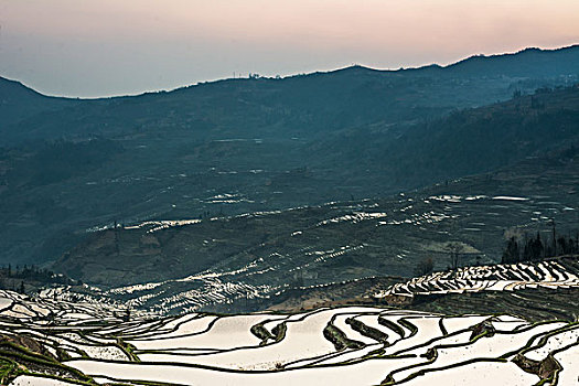 xổ số cần thơ