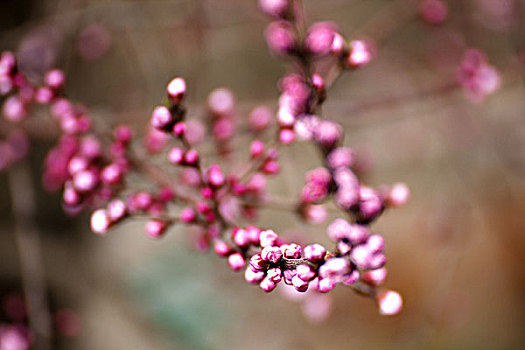 xo so miền bắc hôm nay