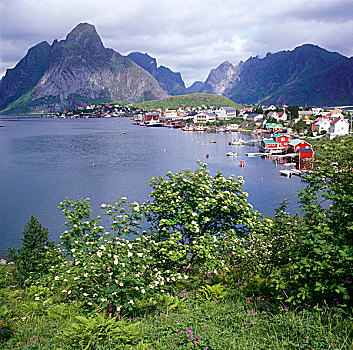 kqxs du doan
