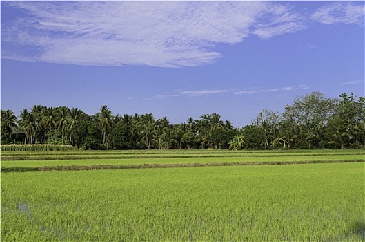 soi cầu xổ số miền nam ngày hôm nay