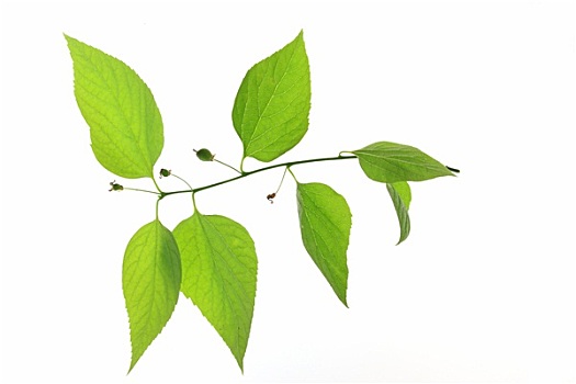 kết quả xổ số đồng nai