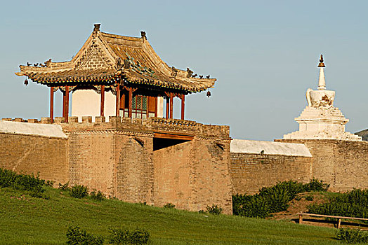 cau lo bach thu khung 5 ngay