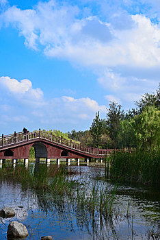 xổ số đài thành phố