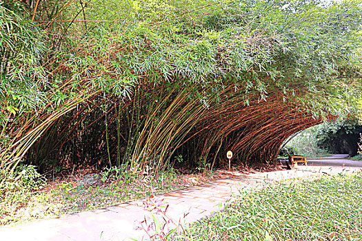 soi cầu 3 miền hôm nay