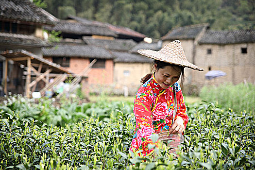 dự đoán xổ số thần tài miền bắc