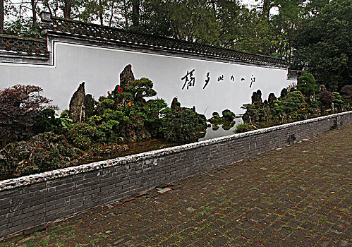 bạch thủ lô tô