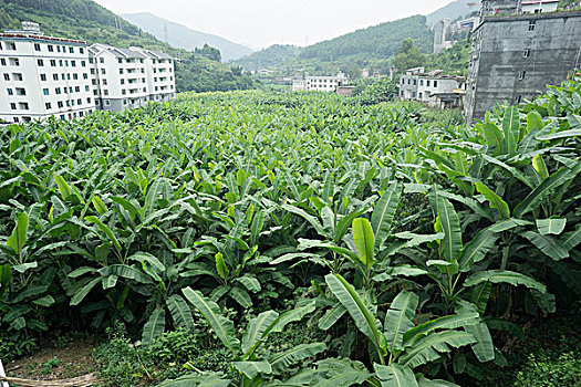 bình luận xsmb