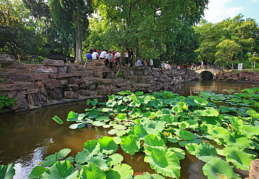 trận đá gà hay nhất