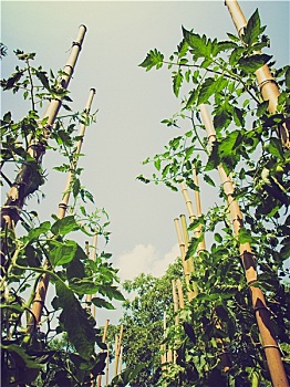 thống kê kqxsmb