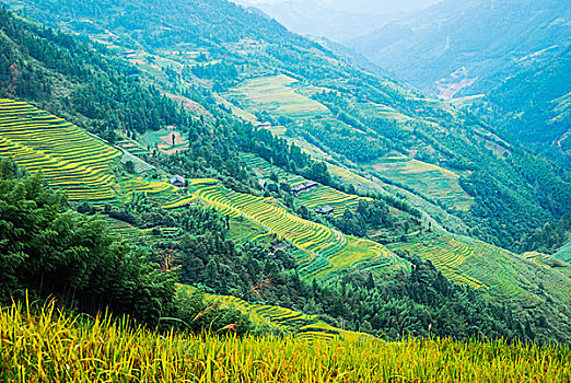 quay thử xổ số đồng tháp