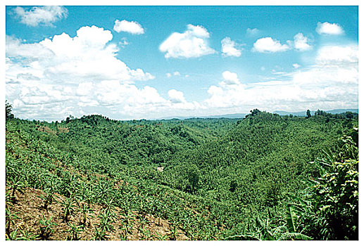 du doan trung thuong mien bac