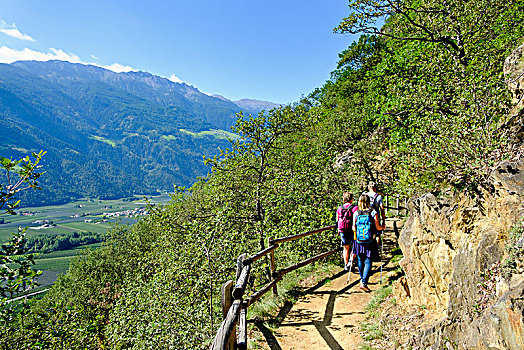 xem rong bach kim