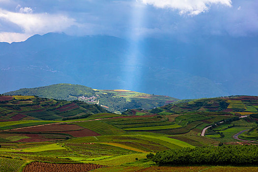 xs hà nội