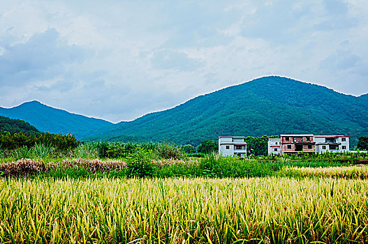 du doan xo so kon tum
