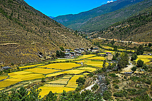 xs hau giang