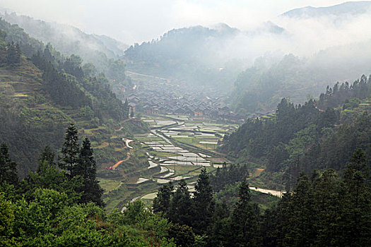 du đoan xo so
