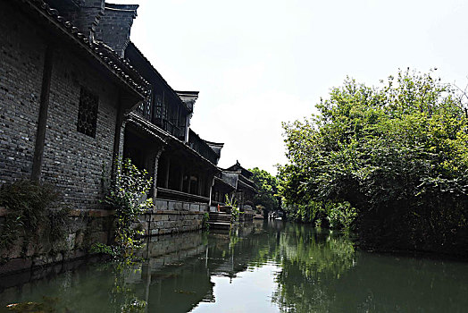 cầu bạch thủ thành phố