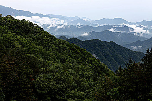 tỷ lệ ăn lô