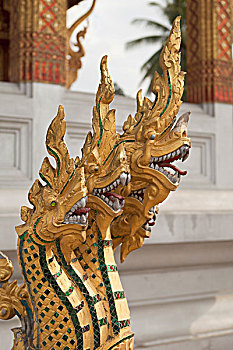 lô bạch thu khung 2 ngày
