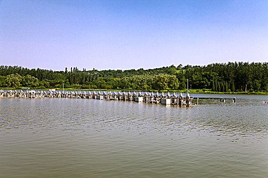 lô trực tuyến