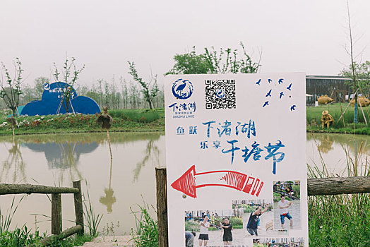 ca cuoc lo de truc tuyen