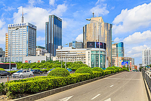 soi cau lo bach thu khung 5 ngay