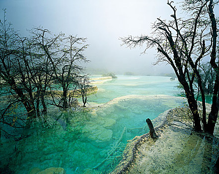 dự đoán xổ