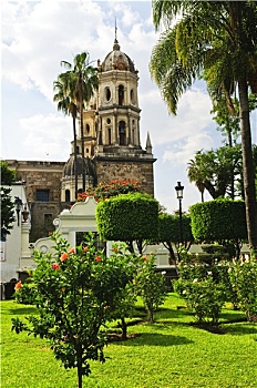 xuantocdo miền bắc