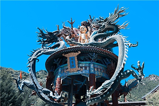 soi cau xo so vung tau