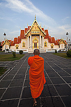 soi cau bach thu mb mien phi