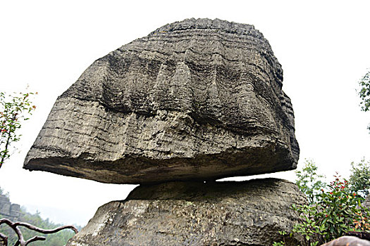 soi cau m trung