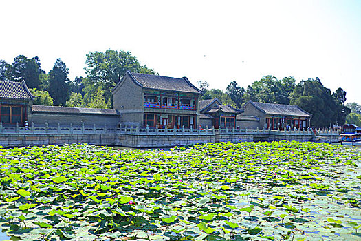 soi cau 366 mien phi