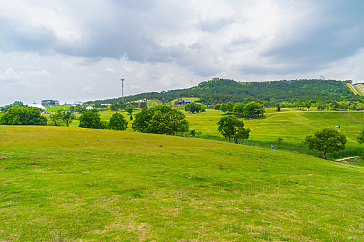 xo so soi cau thong ke