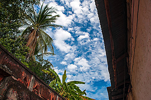 du doan soi cau mien nam