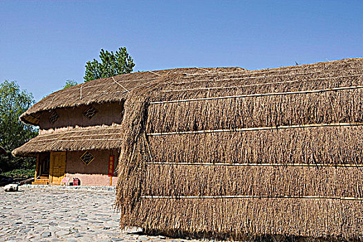 đanh lo de online