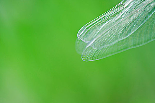 soi cầu chuẩn miễn phí 888