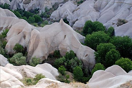 lô đề học