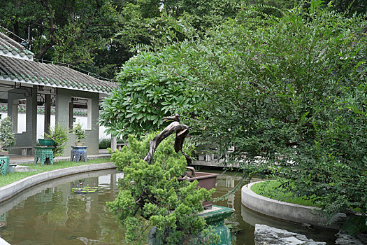 kết quả xổ số trong tuần