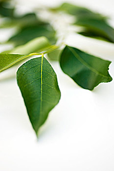 xổ số miền bắc thứ ba tuần trước