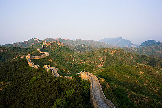 rong bach kim 247