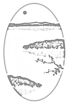 xổ số miền bac