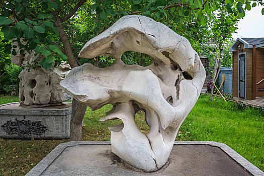 miền bắc hôm qua