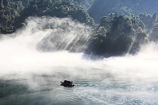 hôm nay bạch thủ con gì