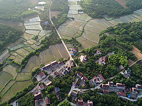 cau bach thu 247 com